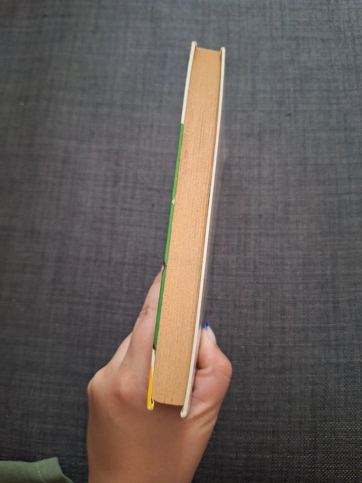 Livro Dois garotos para um cavalo Rene Guillot – photo 3